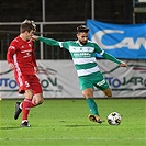 Bohemians - Třinec 2:1 (1:1)