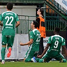 Bohemians - Mladá Boleslav 3:0 (3:0)