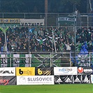 FC Fastav Zlín - Bohemians Praha 1905 1:1 (1:0)