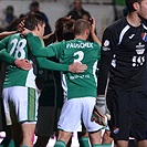 Bohemians Praha 1905 - FC Baník Ostrava 3:1 (1:0)