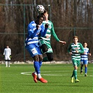 Bohemians - Ústí nad Labem 2:2 (1:1)