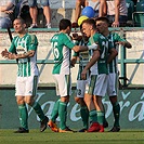 Bohemians Praha 1905 - FC Vysočina JIhlava 1:1 (0:0)