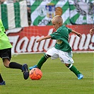 Bohemians Praha 1905 - 1.FK Příbram 1:1 (1:0)