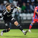 Bohemians - Plzeň 1:4 (0:2)