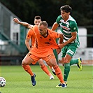 Bohemians - Mladá Boleslav 4:0 (2:0)