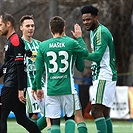 Bohemians Praha 1905 - FC Hradec Králové 2:1 (1:0)