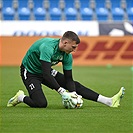 Plzeň - Bohemians 0:2 (0:2)