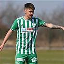 Plzeň - Bohemians 1:1 (1:1)