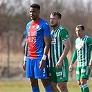 Plzeň - Bohemians 1:1 (1:1)