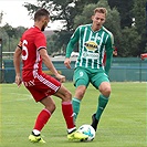 Bohemians  Praha 1905 - AS Trenčín 5:1 (2:0)