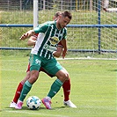 Bohemians  Praha 1905 - AS Trenčín 5:1 (2:0)