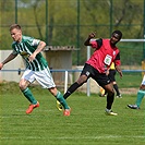 Bohemians Praha 1905 - FK Mladá Boleslav 1:1 (0:1)