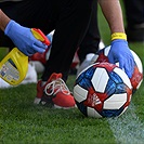 Bohemians - Teplice 4:0 (2:0)