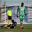 Wolfsberger - Bohemians 1:1 (1:0)