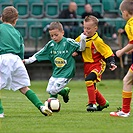 Bohemians Praha 1905 - FC MAS Táborsko 2:2 (0:1) 