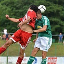 SK Zápy - Bohemians 1905 1:3 (1:0)