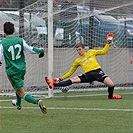 Bohemians Praha 1905 - 1.FK Příbram 2:0 (0:0)