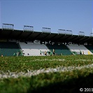 Trénink Bohemians 1905 v Ďolíčku 