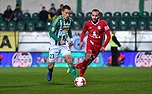 Zelenobílý národ se vrací na Andrův stadion