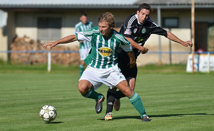 Bohemians Praha 1905 - 1. FK Příbram 1:2 (1:1)