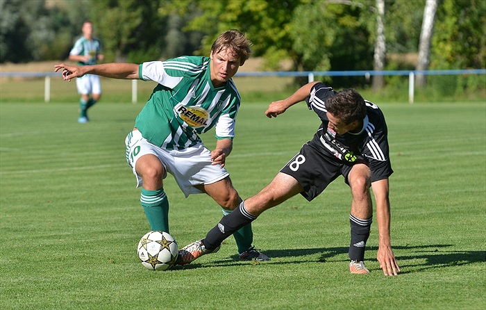 Bohemians Praha 1905 - 1. FK Příbram 1:2 (1:1)
