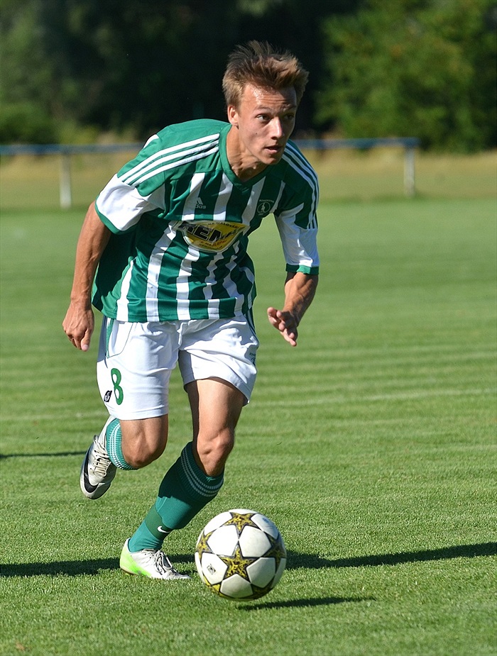Bohemians Praha 1905 - 1. FK Příbram 1:2 (1:1)