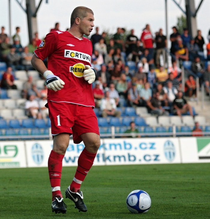 Sňozík při rozehrávce.