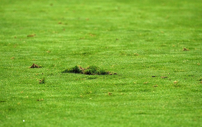 FK Mladá Boleslav - Bohemians Praha 1905 1:0 (1:0)