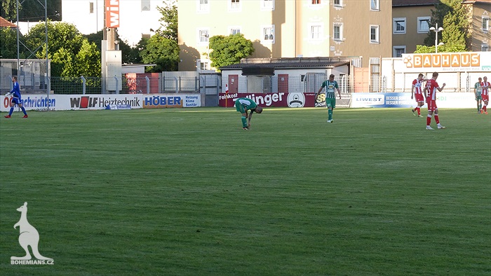 Bohemians Praha 1905 - FK Crvena zvezda Bělehrad 0:1 (0:0)