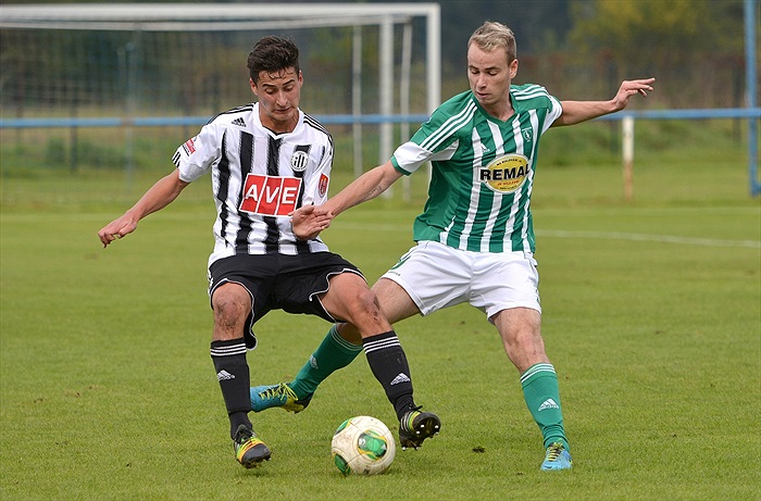 Bohemians Praha 1905 - SK Dynamo Č.Budějovice 2:1 (1:1)