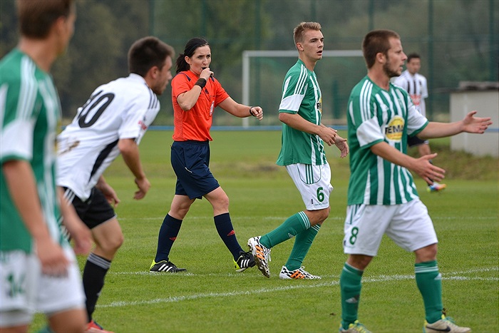 Bohemians Praha 1905 - SK Dynamo Č.Budějovice 2:1 (1:1)