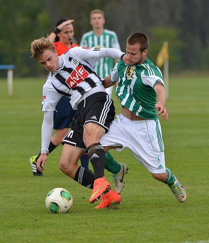 Bohemians Praha 1905 - SK Dynamo Č.Budějovice 2:1 (1:1)