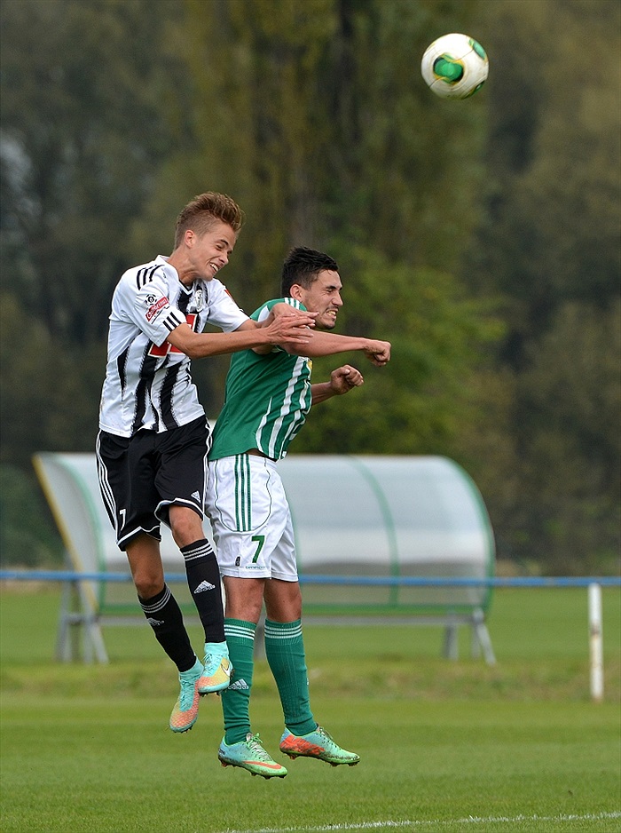 Bohemians Praha 1905 - SK Dynamo Č.Budějovice 2:1 (1:1)