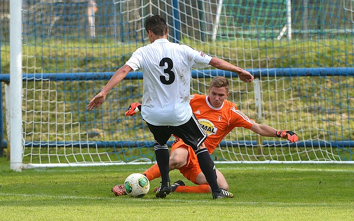 Bohemians Praha 1905 - SK Dynamo Č.Budějovice 2:1 (1:1)