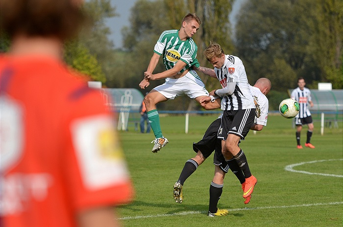 Bohemians Praha 1905 - SK Dynamo Č.Budějovice 2:1 (1:1)