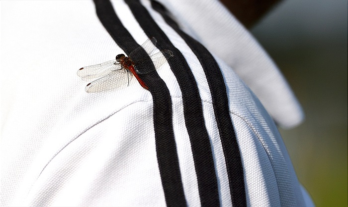 Bohemians Praha 1905 - SK Dynamo Č.Budějovice 2:1 (1:1)