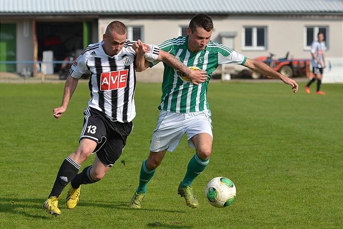 Bohemians Praha 1905 - SK Dynamo Č.Budějovice 2:1 (1:1)