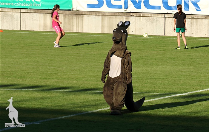 Nábor v Ďolíčku 2023