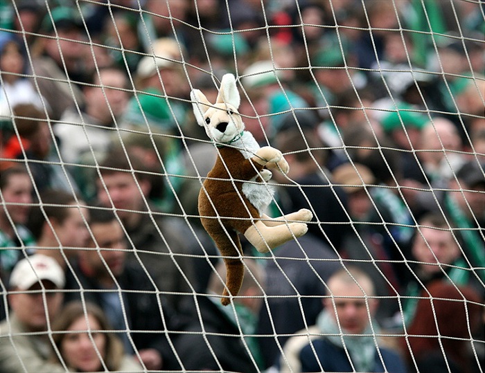 Všudypřítomný Klokan.