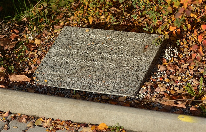 Pochod fanoušku z Ďolíčku do Edenu