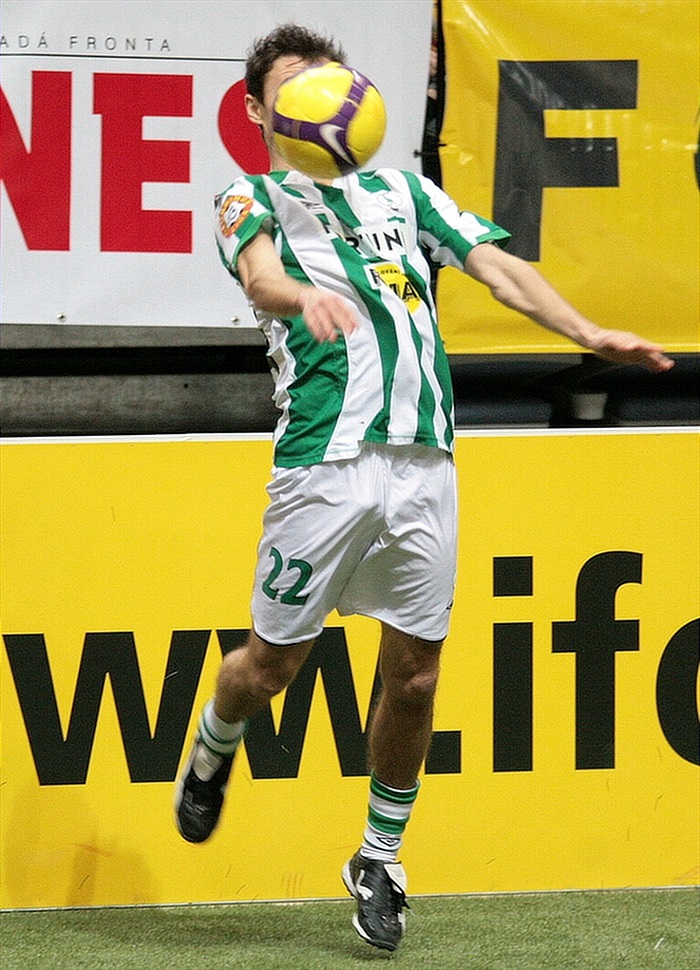 Zpracování Ibragimova