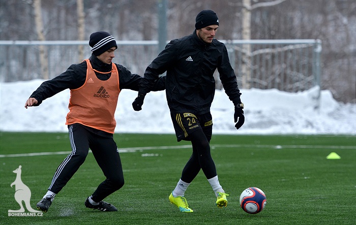 Klokani se připravují v Břízkách