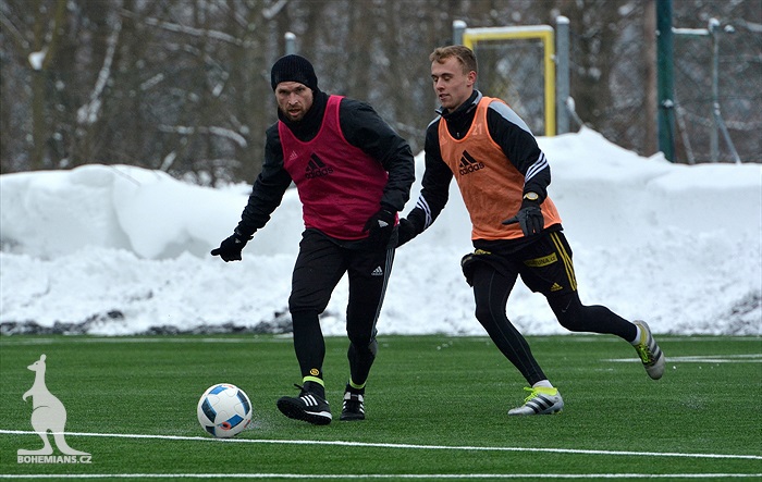 Klokani se připravují v Břízkách