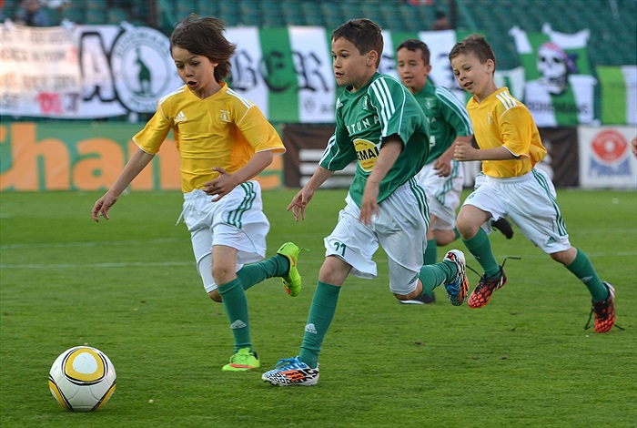 Bohemians Praha 1905 - FK Mladá Boleslav 1:1 (1:1) 