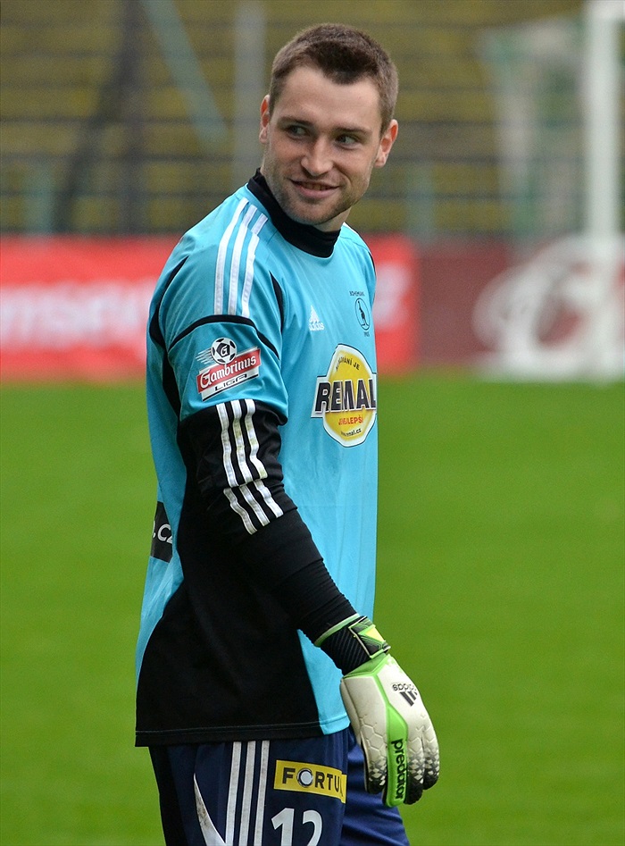 Modelové utkání, podzim 2013