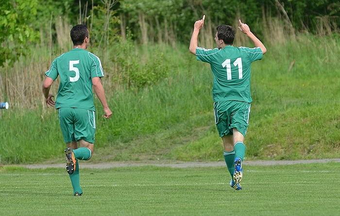 Bohemians Praha 1905 - FC Zbrojovka Brno 2:1 (2:1)