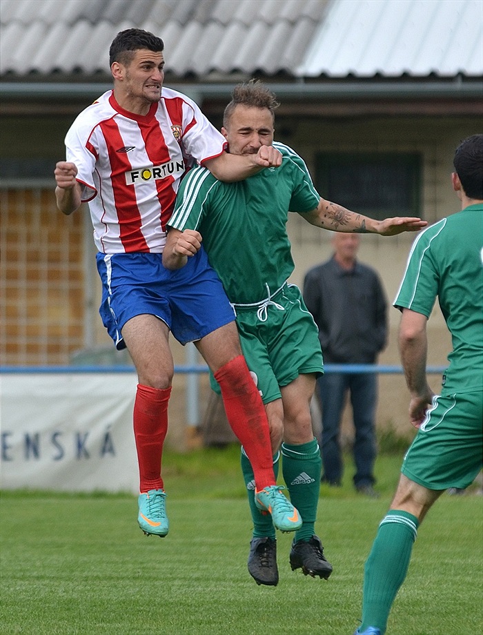 Bohemians Praha 1905 - FC Zbrojovka Brno 2:1 (2:1)