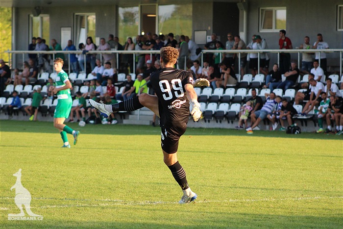 Ujpest - Bohemians 0:1 (0:1)