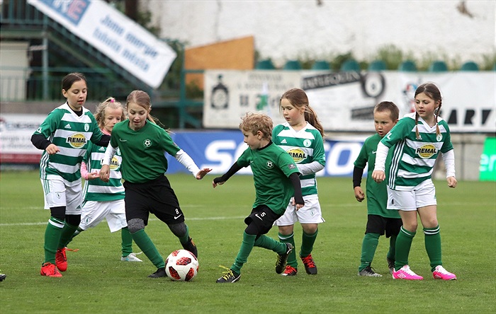 Bohemians Praha 1905 - 1.FK Příbram 1:4 (1:2)
