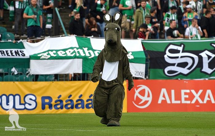 Bohemians Praha 1905 - FC Fastav Zlín 0:1 (0:0)